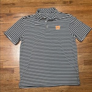 Southern Tide Blue and White Striped Auburn